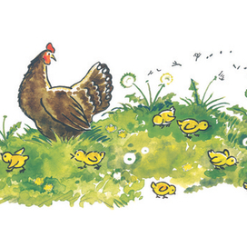 А. Ильин. Полуполосная иллюстрация