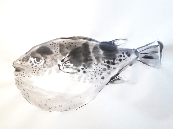 Рыба фугу (та самая)