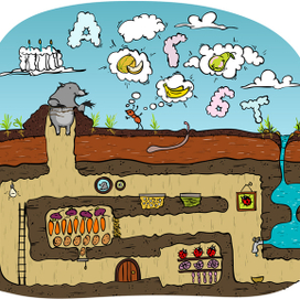 Разные азбуки