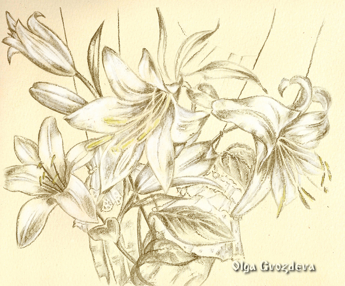 Марафон "Мягко о стихах" 2 день