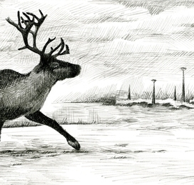 Иллюстрацтя к книге, учебная работа