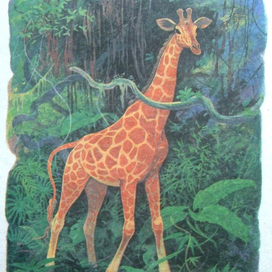сказка  "Жирафа и Окапи"