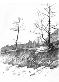 фотографика