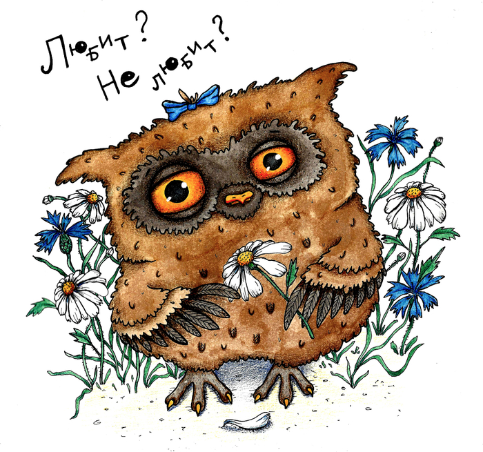 Любит-не любит