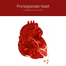 Pomegranate heart