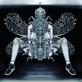 Чёрное и белое