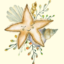 Морская звёздочка