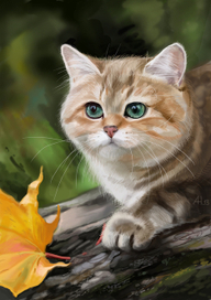 Осенний котенок. Рисунок по фото
