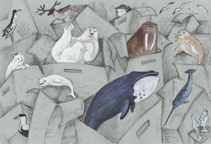 Арктика. Как сохранить её живой