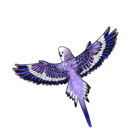 Птичка Волнистик