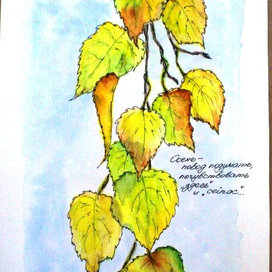 Осенние листья