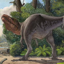 Монголия Мелового периода