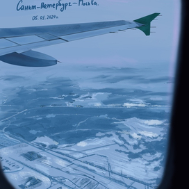 Вид из самолета Санкт-Петербург