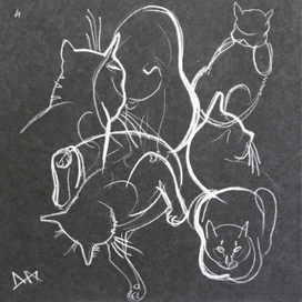 Линейные коты