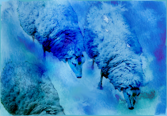 Три барашка