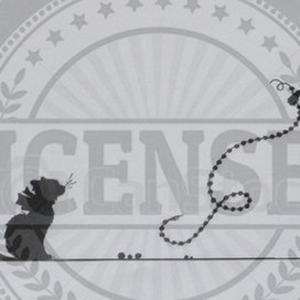 Девочка и кошка