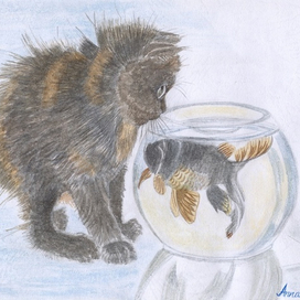 Забавный котенок. Знакомство с рыбкой