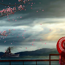 Сакура цветёт