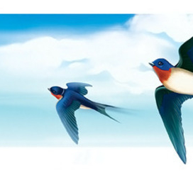 Иллюстрация для сайта СРМОО «Ласточки»