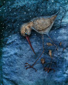 птичья семья