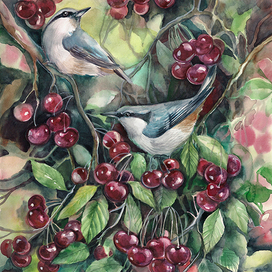 В Вишенках на вишне