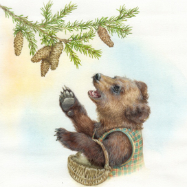 Еловые шишки