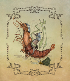 креветочные войны