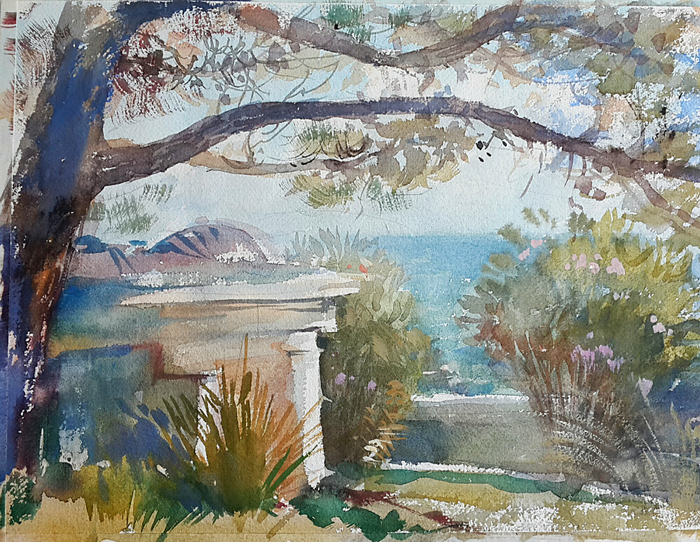 Сосны у моря.