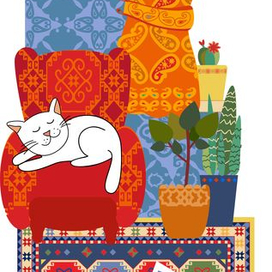 новенький в доме