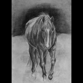 рисунок карандашом 