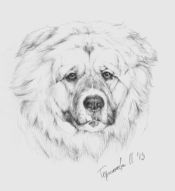 лохматый друг