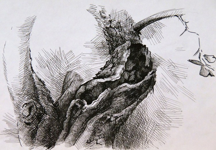 ствол яблони