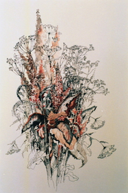 Сухой букет