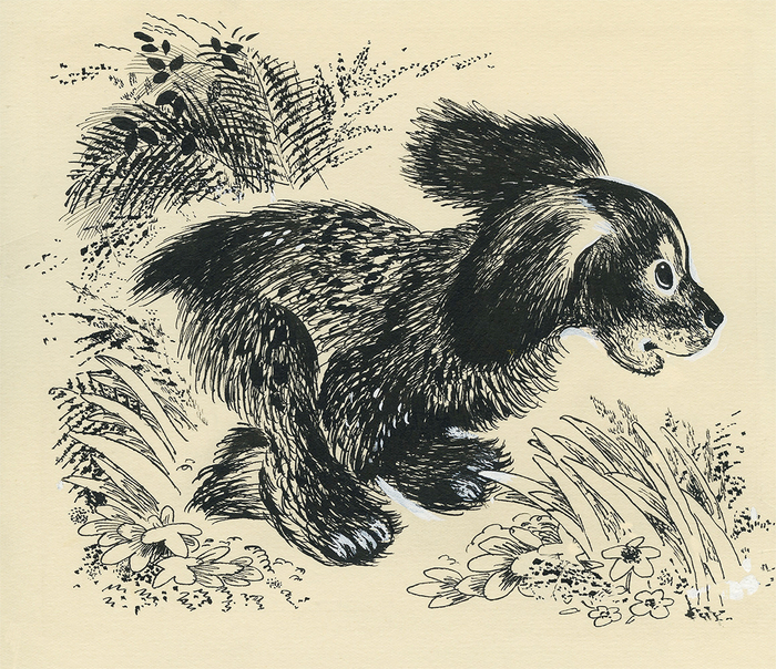 Е.Чарушин "Про Томку" изд. "Малыш"