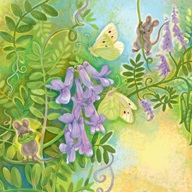 Мышиный горошек