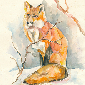 red_fox