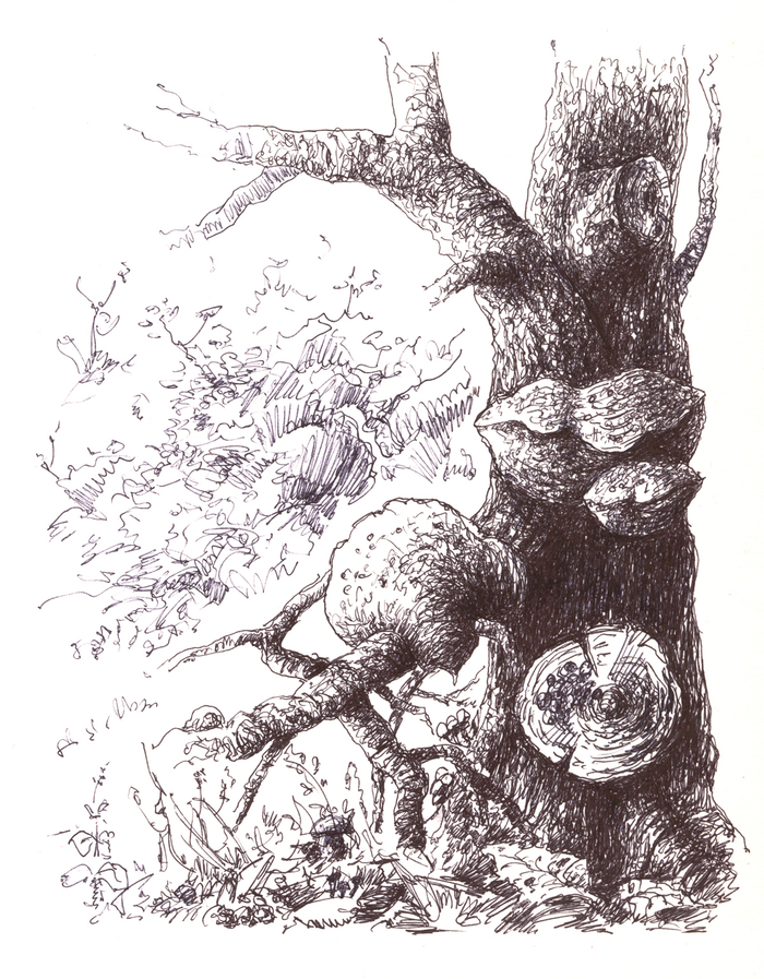 СТАРЫЙ СТВОЛ С ЧАГОЙ