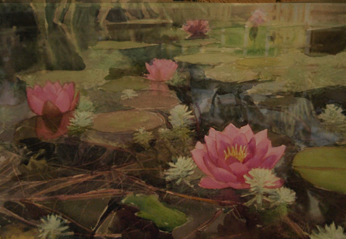 Лотосов пруд-пруди.