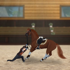 Неудачная заездка