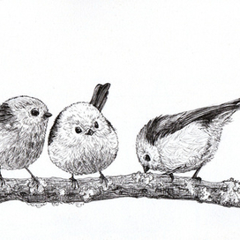 Ополовники. Графика