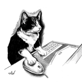 Современный кот.