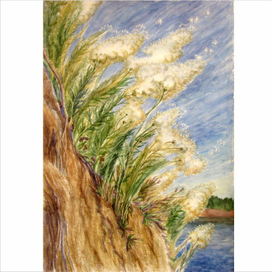 Новая жизнь...