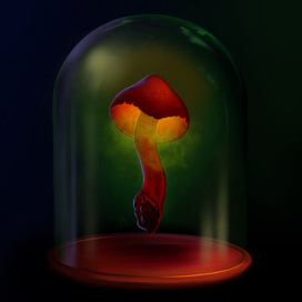 Гриб из красной книги