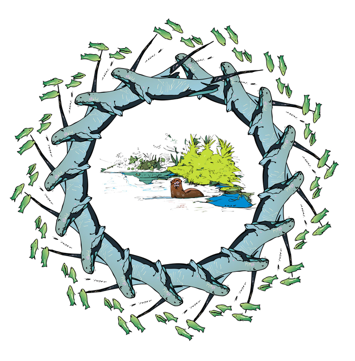 Выдры Бразильские