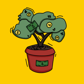 Денежное дерево 