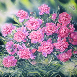 Пионы в саду