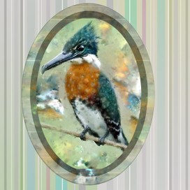 ДОЛБУН обыкновенный