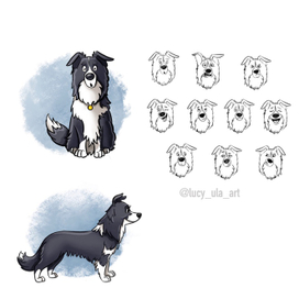 Дизайн персонажа. Собака Белла