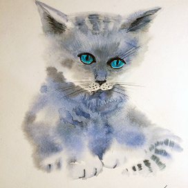 Коте..............