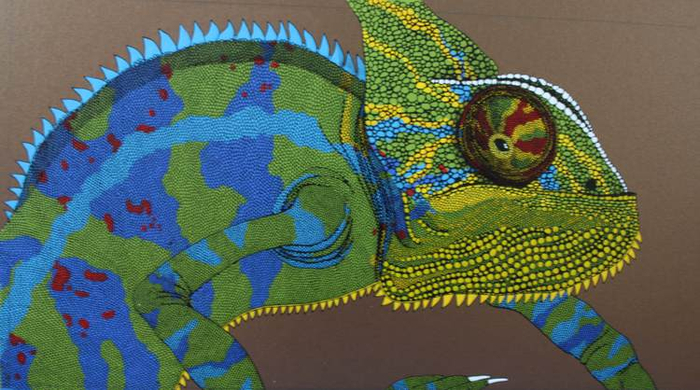 "Хамелеон"(2012г.)